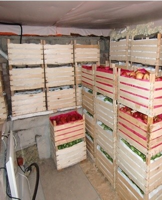 It is easier to put food in spacious wooden containers, stems up, sprinkling dry sawdust on top.