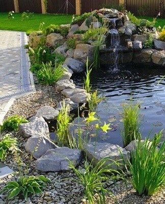 Since the film will be placed in the pit, its bottom must be prepared.