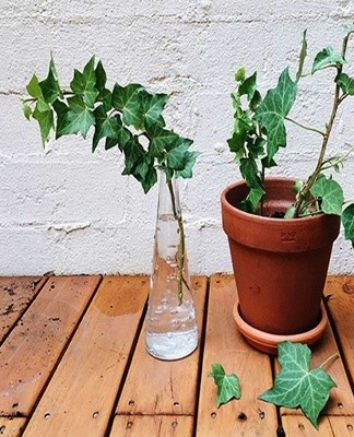 This culture can be shaped in different ways.