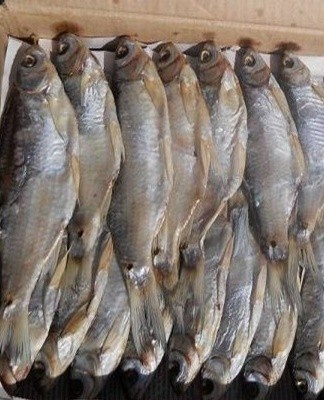 For the preparation of such a product, a large amount of salt is used - a natural preservative.