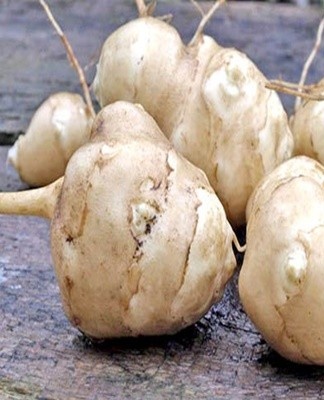 First of all, you need to select tubers of the same size and good quality.