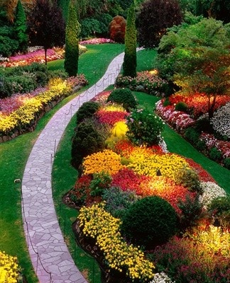 When using the seed method, there is a risk of incomplete germination.