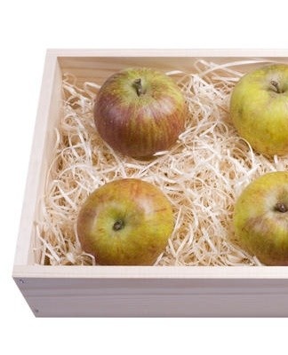 For the storage of apples, it is important to regulate the temperature regime, the degree of humidity.