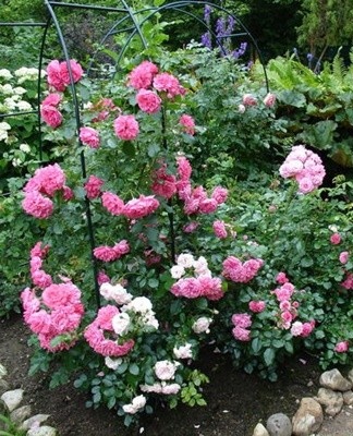 This jumpsuit looks casual and natural.