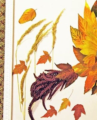 Best for sticking tree leaves on paper, choosing composition and rules for creating crafts