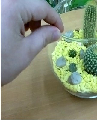 A mini stone garden is suitable both in city apartments and in summer cottages.