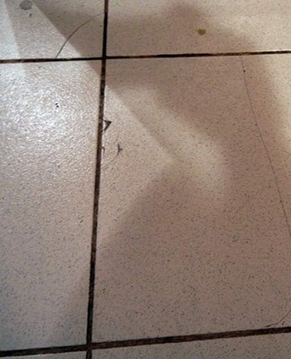 Sometimes it is necessary to repair the tiles