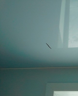 Using a PVC cloth, the damage cannot be repaired for more than 2 cm.