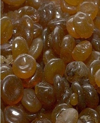  Phosphates are salts of phosphoric acids found in fertilizers and used in the production of many drugs.