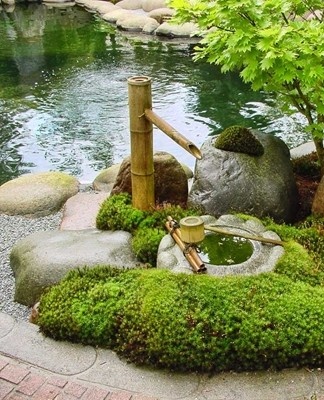 A small pond, nicely framed with stones, will make the space more harmonious and serene.