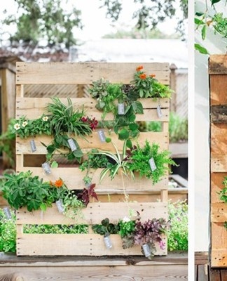 This option for landscaping the site has gained popularity in recent years.