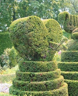 They will complement the rock garden and make it more beautiful and lively, skillfully cut green figures in the bushes.