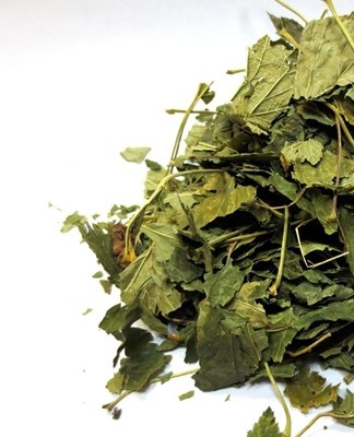 To perform the procedure, it is worth doing the following