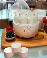 How to choose the right yogurt maker, what is important to know and an overview of the best models