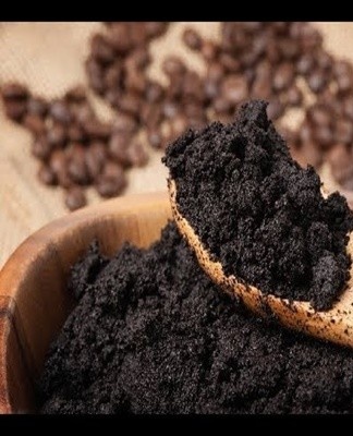  Such a remedy is deadly for the pest.