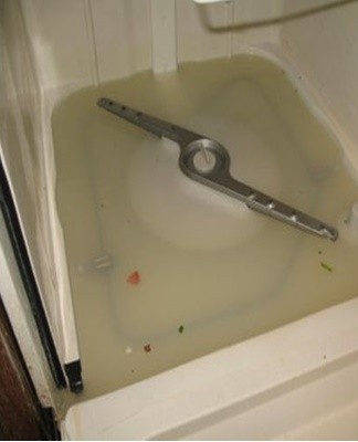 If the unit does not drain, it is recommended to assess the condition of the primary filter.