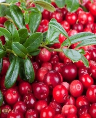 For this method, it is necessary to have a wide metal mesh with small holes adapted to the size of the berries.