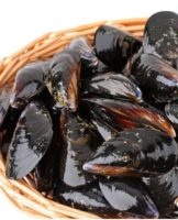 The best ways to keep mussels fresh at home