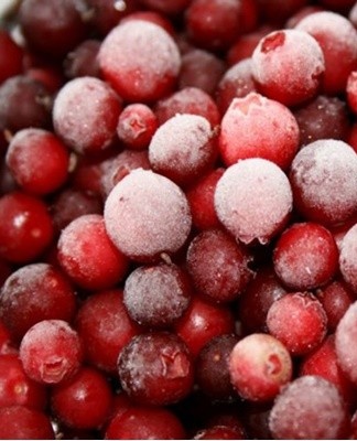 11 best ways to store lingonberries for the winter at home