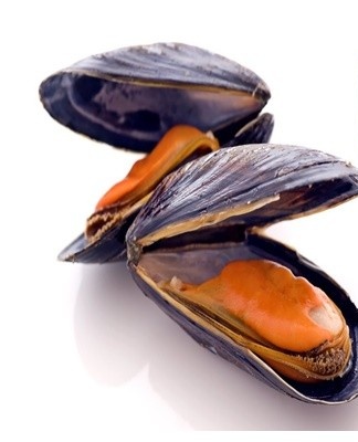 the way to keep the mussels fresh is to put them on a tray, cover with a towel soaked in water
