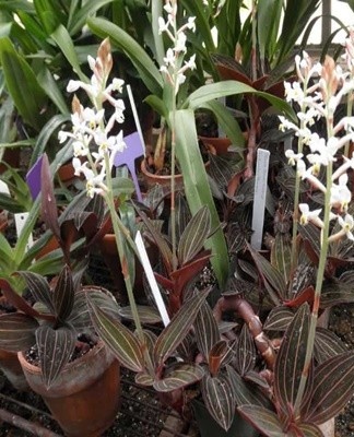 it pays to provide quality care.