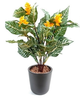 Various diseases are another problem that must be faced when growing.