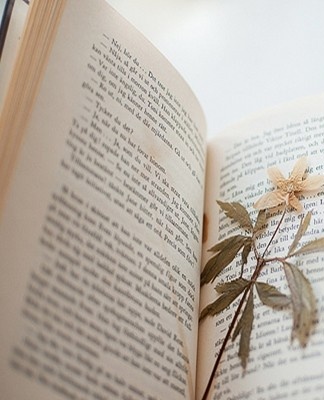 The material can be inserted between the pages of the books.