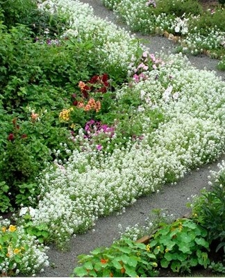 The first thing to watch is the growth of the seedlings.