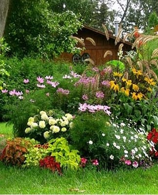 To create a flower garden in the country, you must first find the optimal place for it