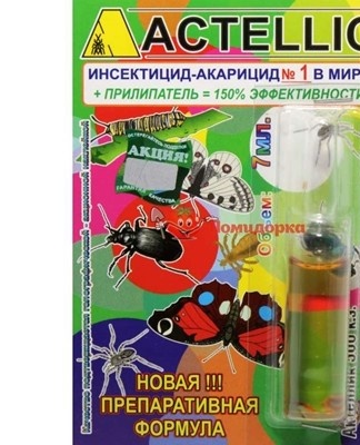 To get rid of parasites, use the drug "Actellik", applying it according to the attached instructions.
