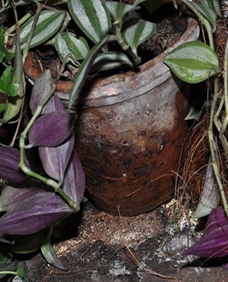 Such a nuisance comes from excessive humidity.