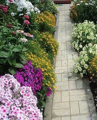 It is also important that the seedlings are pleasant to the touch.