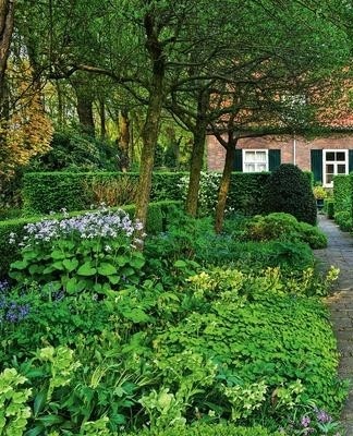 It is a perennial flower with weakly branched and straight stems.