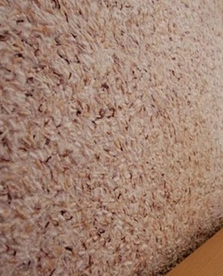 Liquid wallpaper is considered a very practical option.