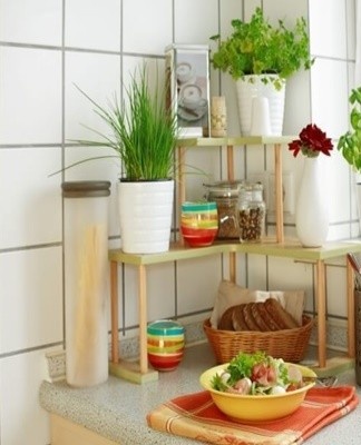 All plants are annuals, biennials and perennials.