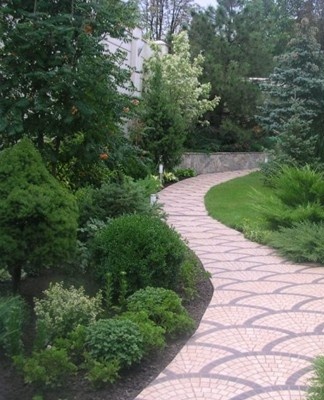 Too tall flowers and shrubs are rarely used to decorate borders.