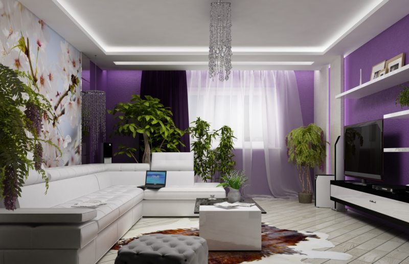 living room in white and purple