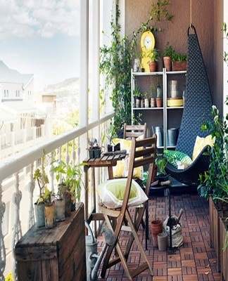 Adequate natural light provides excellent conditions for flower growth.