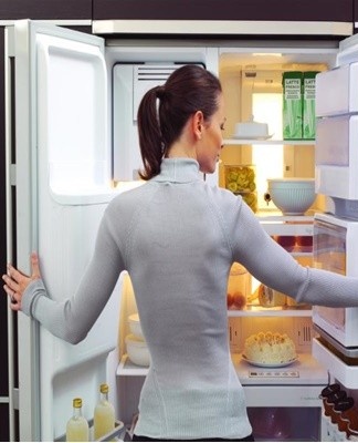 What to do if the refrigerator door squeaks and what can be lubricated