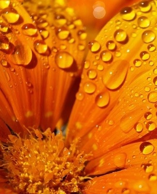 Orange only carries positive energy and symbolizes happiness and vitality.