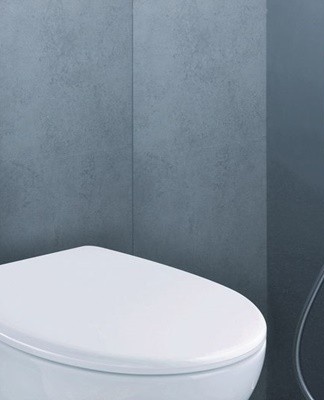 Basically, a hygienic shower can replace a conventional sink.