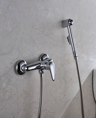 A person who is far from the plumbing can also install a hygienic shower.