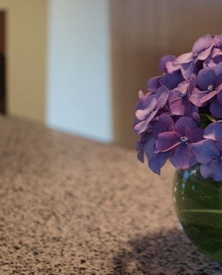 a young hydrangea can be placed on the windowsill.