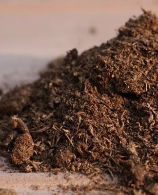 Top dressing is completed in November, when the hydrangea goes into hibernation.