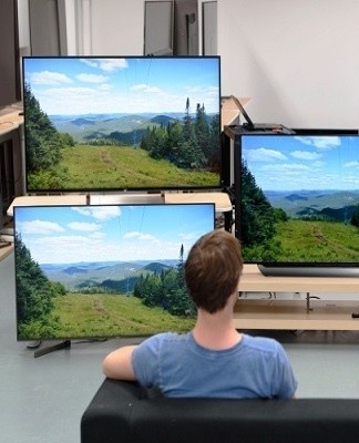 Flat screens differ in sound and image reproduction technologies.