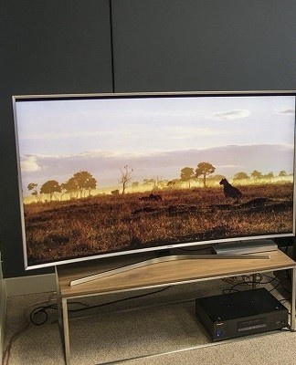 LCDs are cheaper than LEDs.