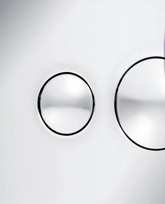 Flush plates differ in appearance and technical parameters.