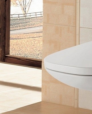 Complete with back to wall installation, concealed cistern and seat are available.