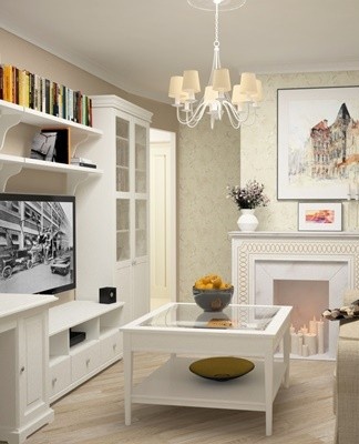 Rules for creating a living room design in the style of Provence and examples of interior design