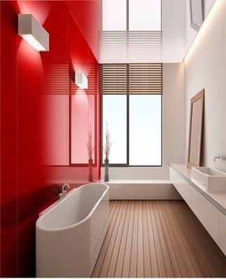 The red ladder inside the bathroom is not used as the main ladder.